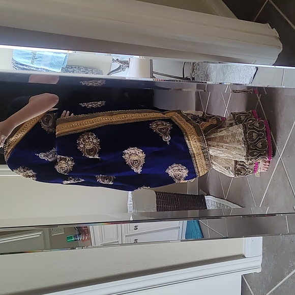 DESIGNER Rose gold & pearl Lace & Velvet embroidered half & half saree W/ Blouse - Picture 13 of 16